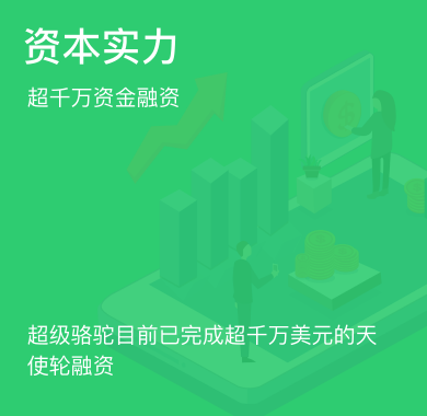 资本实力